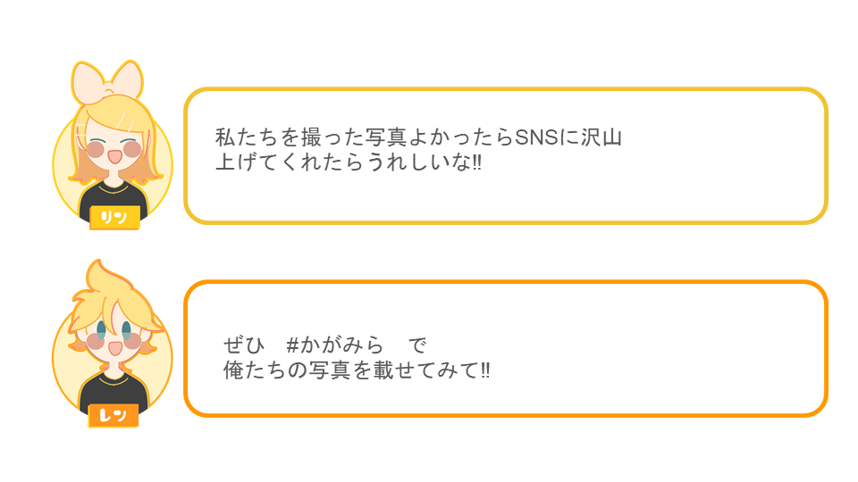 アフターレポート